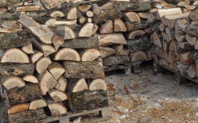 Иззеха 20 кубика дърва без документи при спецакция във Видинско