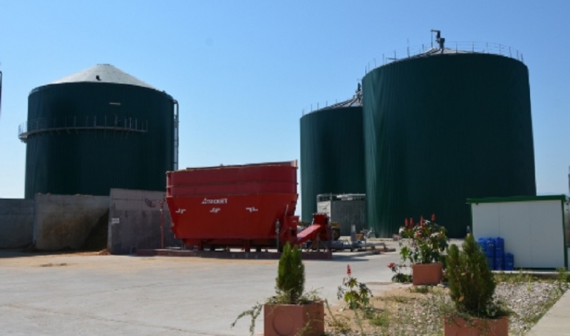 Жена от мездренското село Царевец буквално е побъркала екоинспекторите от