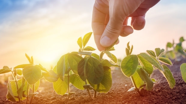 С допълнителни 12 9 млн лева е увеличен бюджетът по подмярка 6 1 Стартова