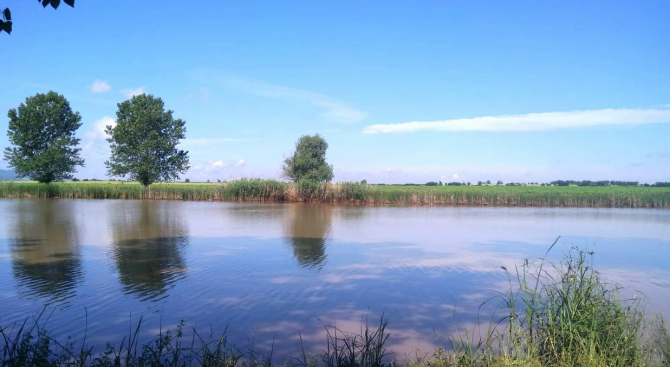 Специални мерки заради очакваните валежи в страната По заповед на