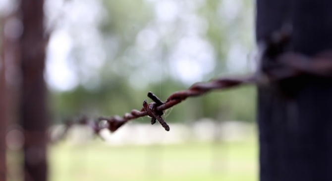 Консорциум от журналисти разпространи документи които показват абсолютния контрол който