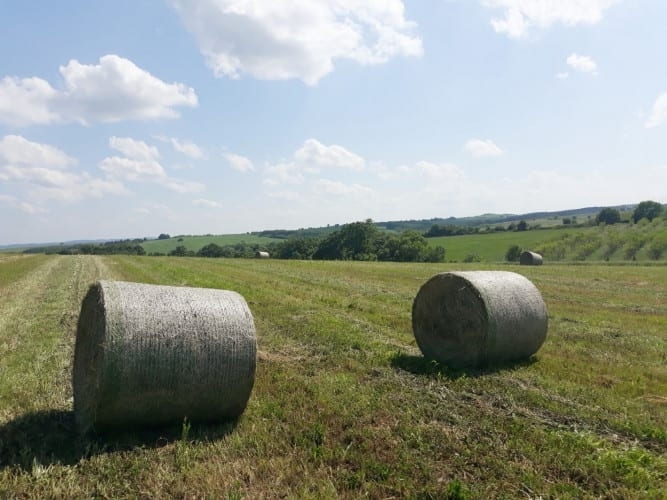 Двама задигнаха бали от земеделска база във врачанско село съобщиха