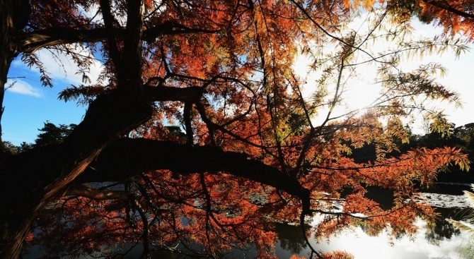 През деня по значителна ще е облачността над източната половина на