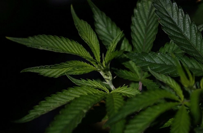 18 годишен ученик от варненска гимназия получи условно наказание от 8 месеца лишаване