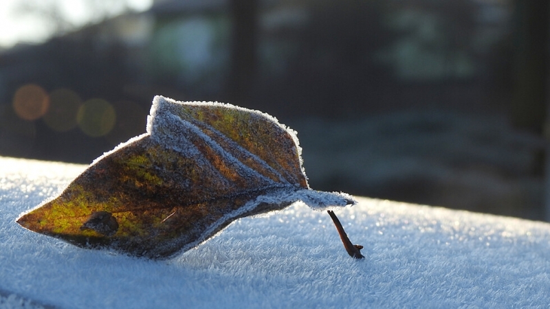Първата пълна януарска седмица обещава динамично време След временно спиране