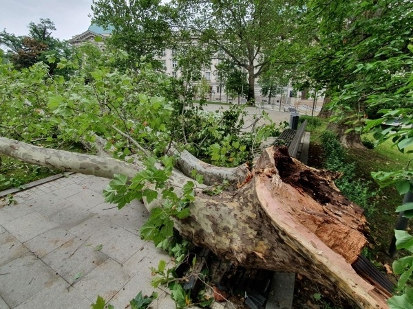 Обстановката в София вече е нормална няма проблеми с движението