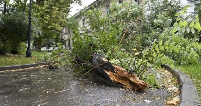 Движението по главния път София Варна в района на