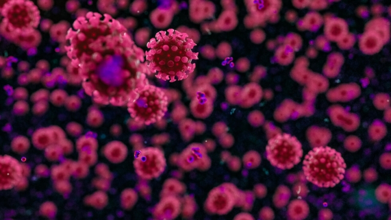 Сградите на Министерството на правосъдието на ул Славянска и ул