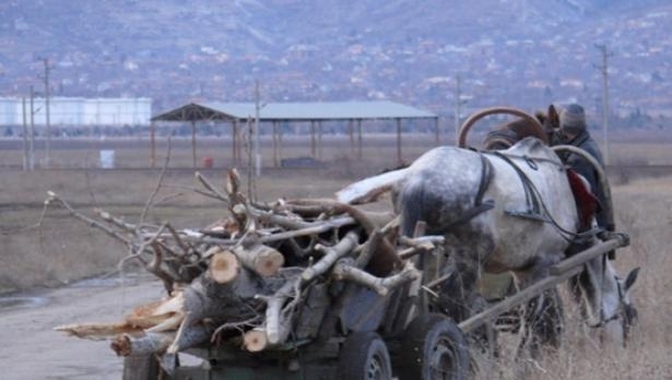 Полицаи са хванали мъж с каруца пълна с крадени дърва