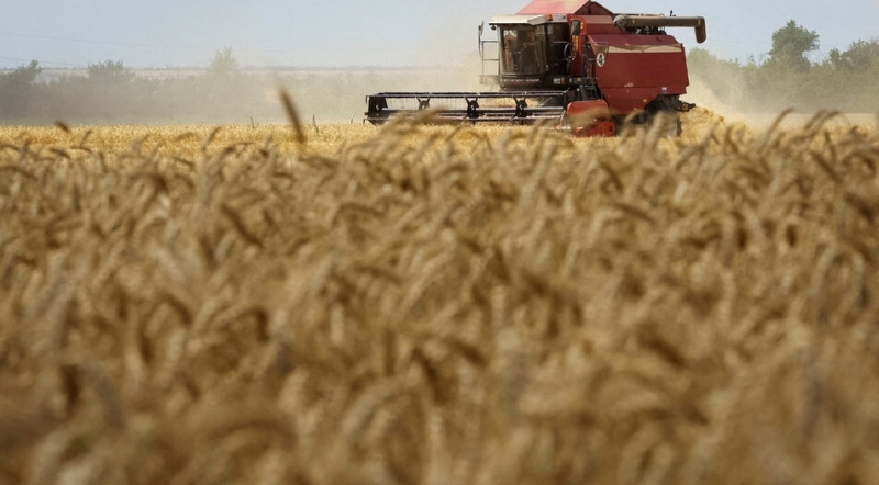 Украйна е изнесла почти 14,3 милиона тона зърно досега през