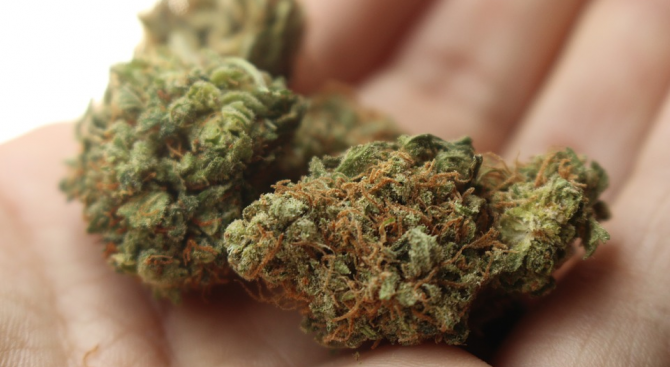 Служители на Районното управление на МВР в Карлово са задържали