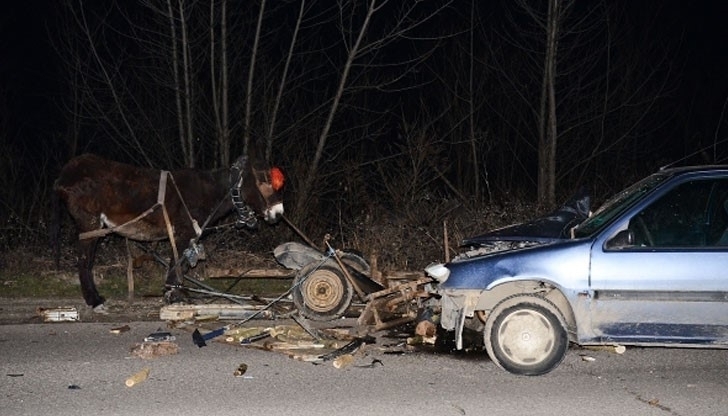 Жена пострада в катастрофа между каруца и кола във Вършец