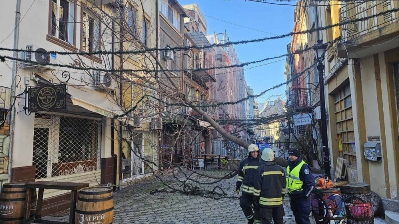 Бурният вятър нанесе щети в Пловдив  
Паднали клони затрудниха движението по ключови