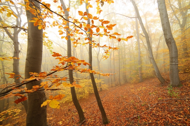 През нощта ще преобладава ясно и почти тихо време Минималните