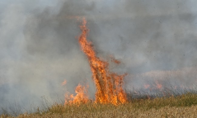 Пожар унищожи над 700 декара ниска растителност в Монтанско съобщиха