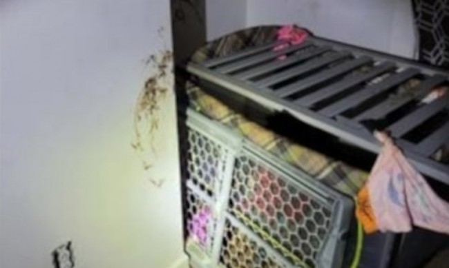 Като от филм на ужасите дете на две години