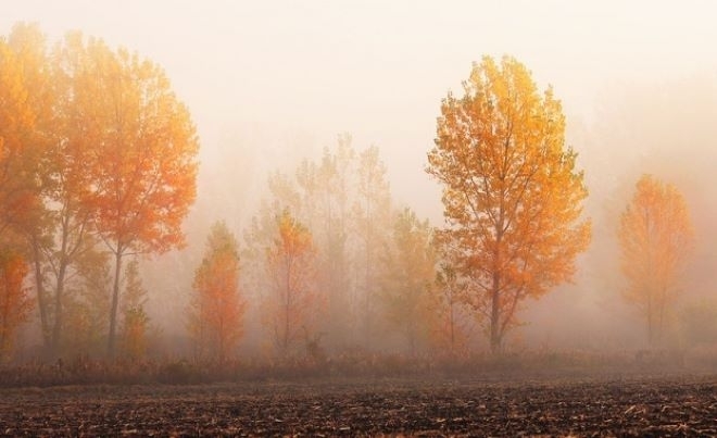 Сутринта валежите почти навсякъде ще спрат Около обяд от юг отново