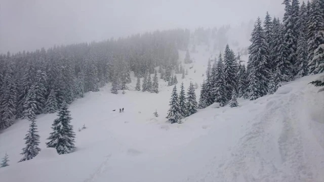 Акция в Рила – планински спасители се опитват да стигнат