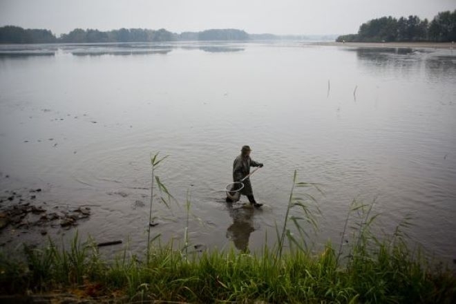 Учени откриха психоактивни вещества в рибите в чешки реки