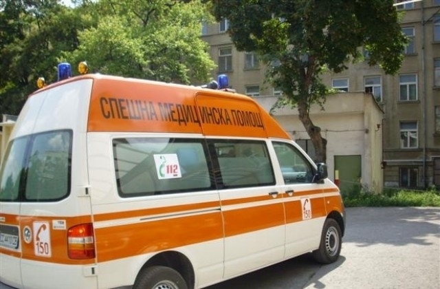 Каракачанска овчарка отглеждана вързана на синджир като домашен любимец в