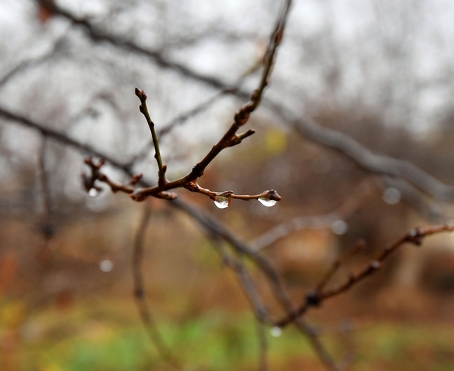 Днес преди обяд дъжд ще превалява все още в югоизточните