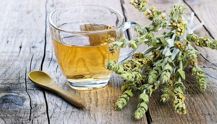 Мурсалският чай е един от най полезните за организма ни Той неутрализира