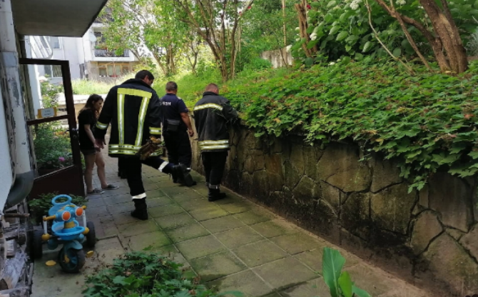 Дете заклещи главата си в ограда в Монтана научи BulNews Инцидентът