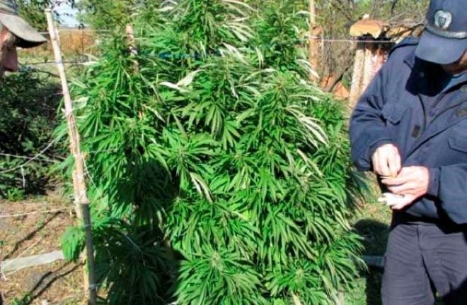 Полицаи задържаха мъж за притежание на незаконно оръжие и наркотици