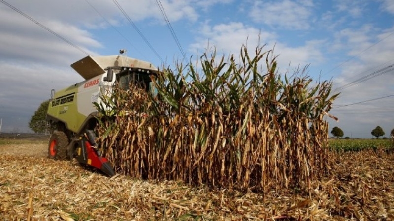 Фалитите в земеделието се увеличават а цените на суровини и горива