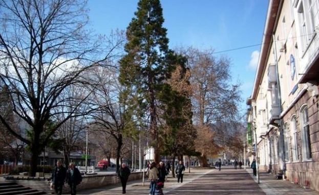 Съществува опасност oбщина Пещера да обяви бедствено положение след 1