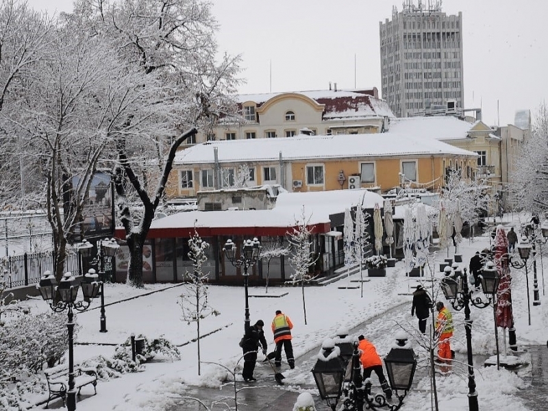Сенаторите във Видин приеха Наредба за изменение и допълнение на