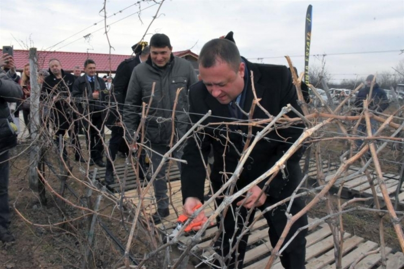 България в последните години заема достойно място на винената карта на света и