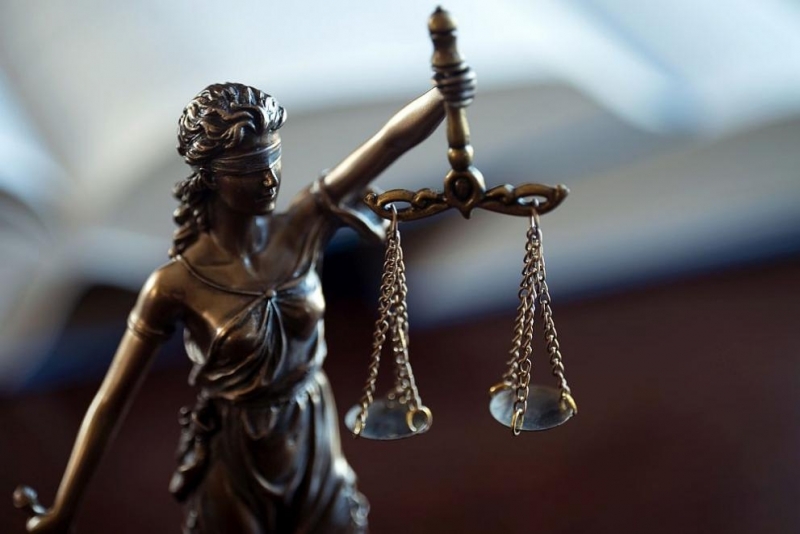 Окръжният съд във Видин постанови условна присъда за шофьора на