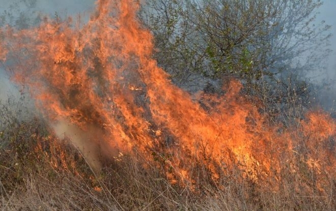 Пожари вилнеят във Врачанско и Монтанско заради бурния вятър и