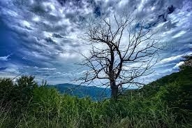 Днес отново на много места в страната ще се развива