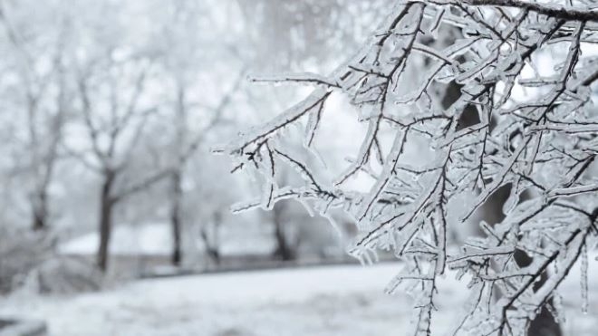 Ето какво време ни очаква през следващите дни