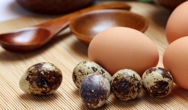 Хората, които ядат по едно яйце на ден са по-малко
