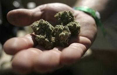 Дилър на канабис и амфетамин е заловен във Видинско съобщиха