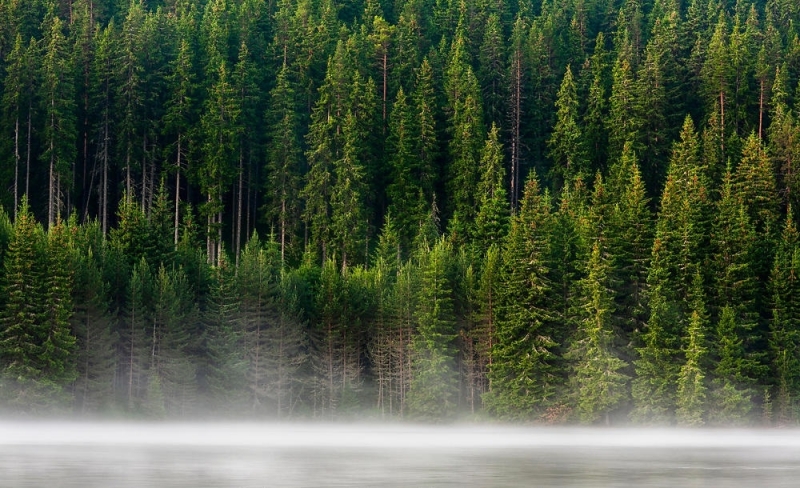 Регионалната инспекция по околната среда и водите в Монтана се