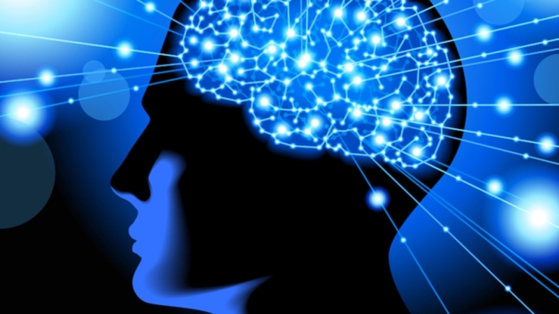 Редовните физически упражнения намаляват когнитивните нарушения и подмладяват мозъка До