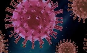 Бразилия отвори туристическите обекти въпреки огромния брой заразени с коронавирус