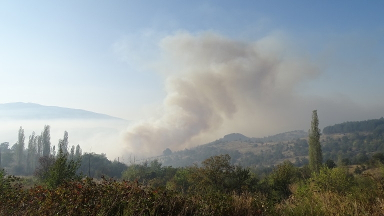 Голям пожар над Водната кула в Карлово Пламъците са обхванали иглолистна гора