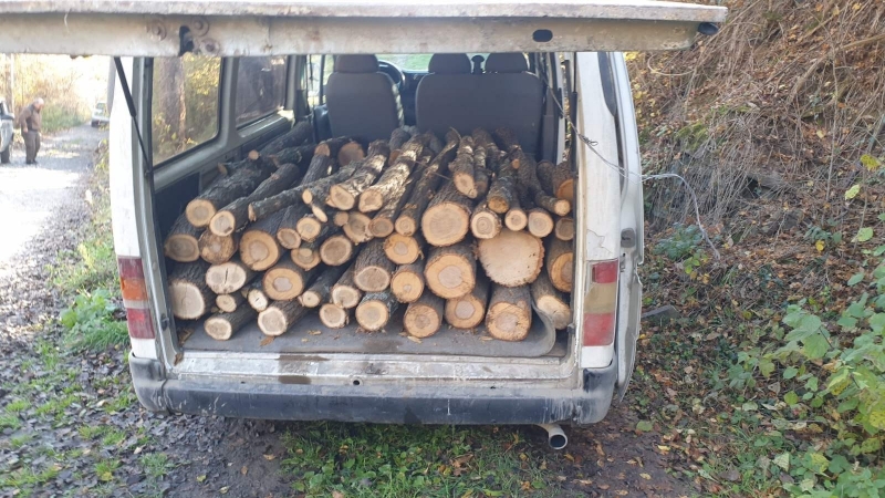 Проверка на Изпълнителна агенция по горите е установила системен нарушител