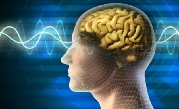 В човешкия мозък функционира безжичен скенер на човешките емоции, чиито