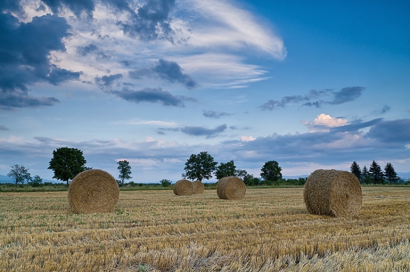 367 регистрирани земеделски стопани са получили субсидии в общ размер