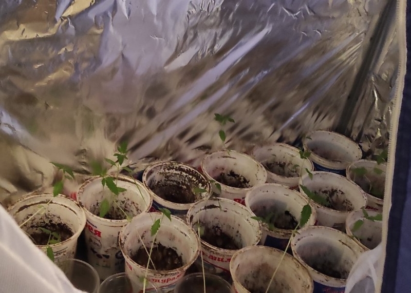 Вчера екипи на РУ Лом и сектор Специални тактически действия на