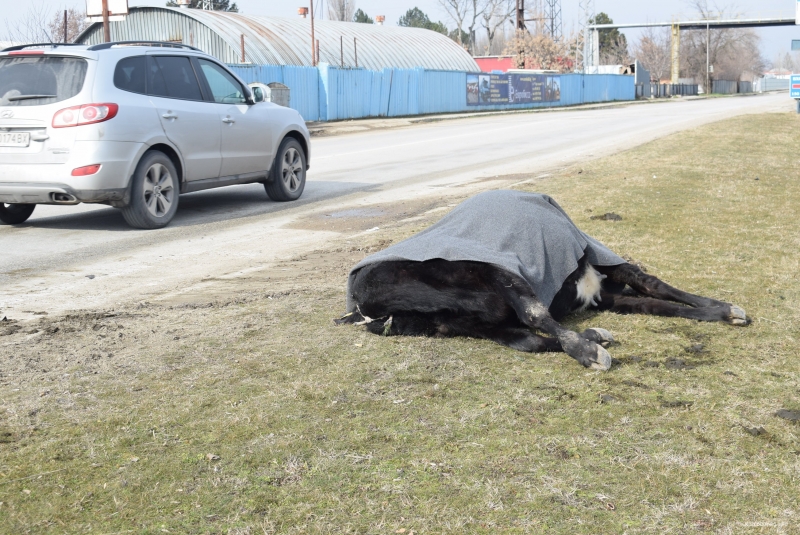 Товарен микробус натоварен с мебели и дървен материал е изгорял