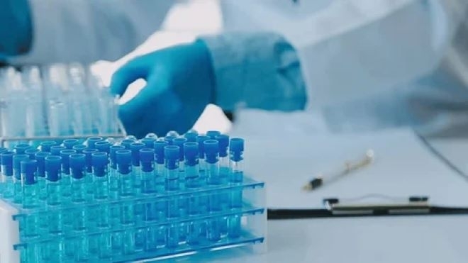 COVID 19 се разпространява в София Варна и Бургас Това показват резултатите