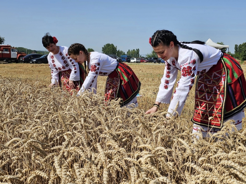 Община Мизия отбеляза Празника на жътвата с много настроение и