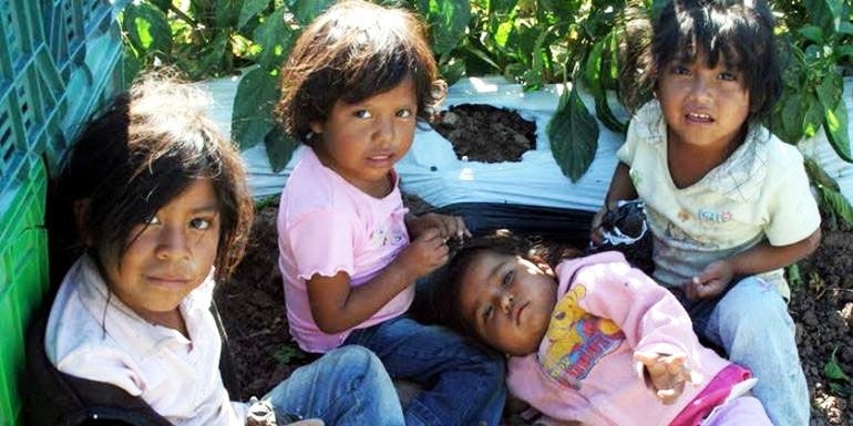 Въпреки постигнатия значителен прогрес в борбата за осигуряване на по добро